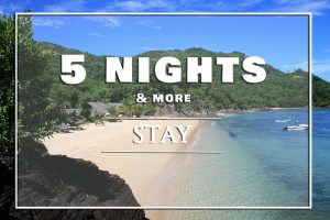 5 nights and more